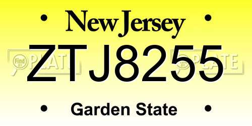 ZTJ8255 New Jersey License Plate