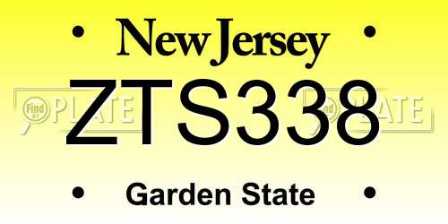 ZTS338 New Jersey License Plate