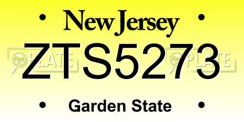 ZTS5273 New Jersey License Plate