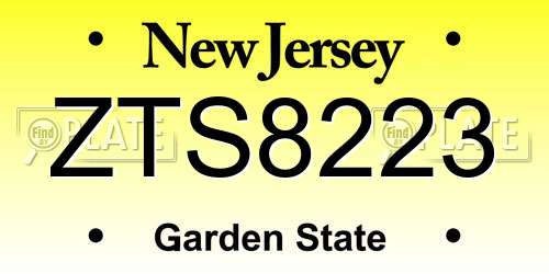 ZTS8223 New Jersey License Plate