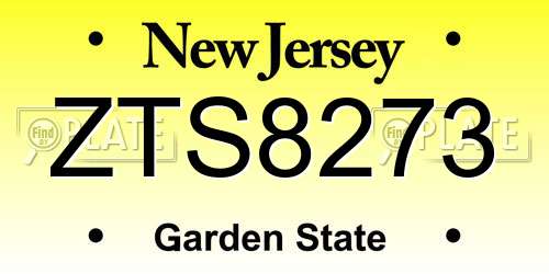ZTS8273 New Jersey License Plate