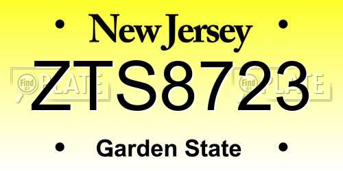 ZTS8723 New Jersey License Plate