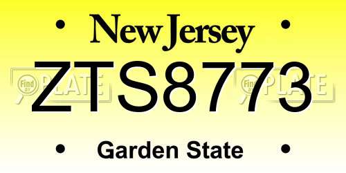 ZTS8773 New Jersey License Plate