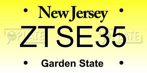 ZTSE35 New Jersey License Plate