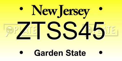 ZTSS45 New Jersey License Plate