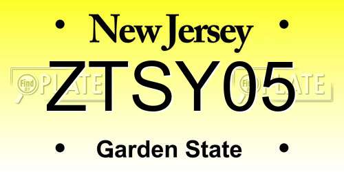 ZTSY05 New Jersey License Plate