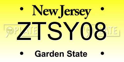 ZTSY08 New Jersey License Plate
