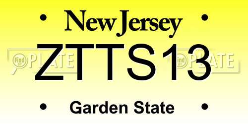 ZTTS13 New Jersey License Plate