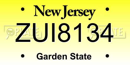 ZUI8134 New Jersey License Plate