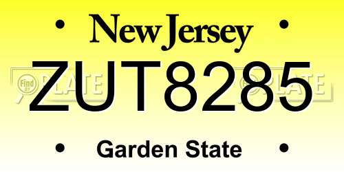 ZUT8285 New Jersey License Plate
