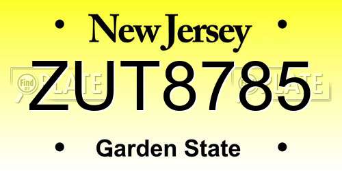 ZUT8785 New Jersey License Plate