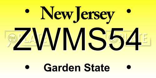 ZWMS54 New Jersey License Plate