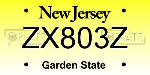 ZX803Z New Jersey License Plate