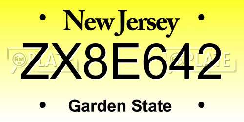 ZX8E642 New Jersey License Plate