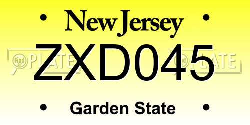 ZXD045 New Jersey License Plate