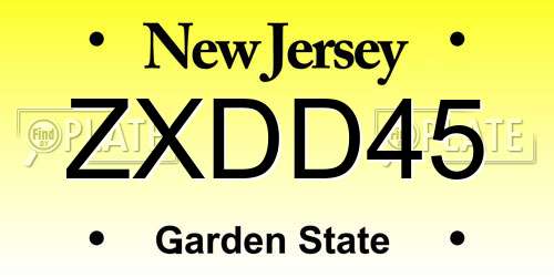 ZXDD45 New Jersey License Plate