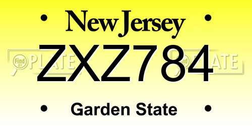 ZXZ784 New Jersey License Plate
