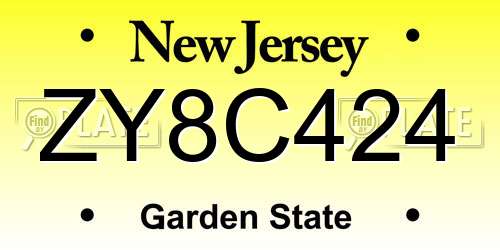 ZY8C424 New Jersey License Plate