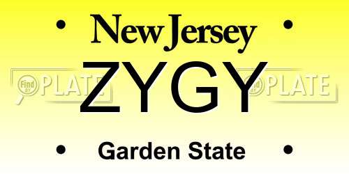ZYGY New Jersey License Plate