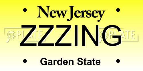 ZZZING New Jersey License Plate
