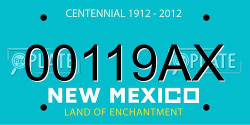 00119AX New Mexico License Plate