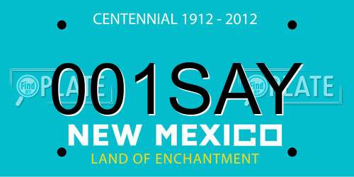001SAY New Mexico License Plate