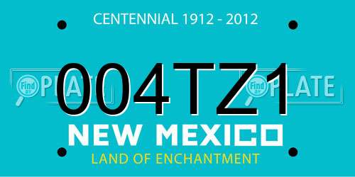 004TZ1 New Mexico License Plate