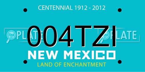 004TZI New Mexico License Plate