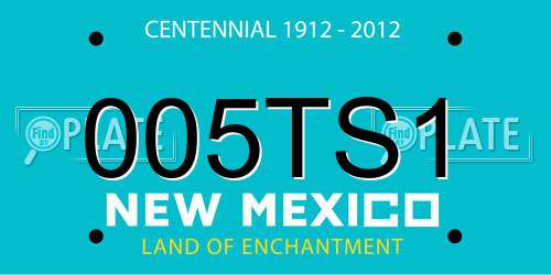 005TS1 New Mexico License Plate