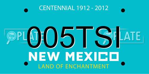 005TSI New Mexico License Plate