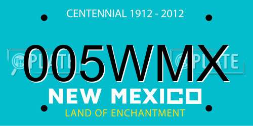 005WMX New Mexico License Plate