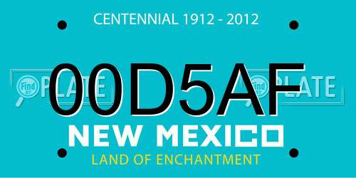 00D5AF New Mexico License Plate