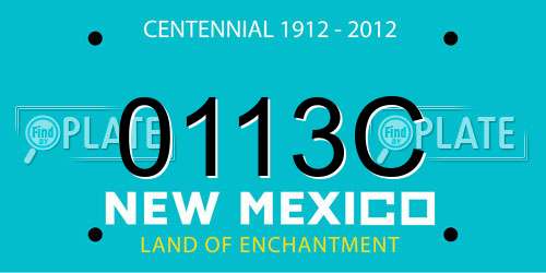 0113C New Mexico License Plate