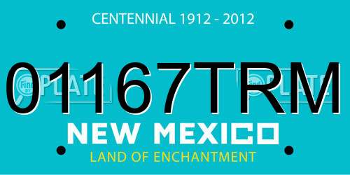 01167TRM New Mexico License Plate