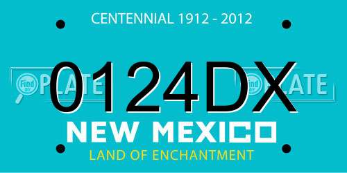 0124DX New Mexico License Plate