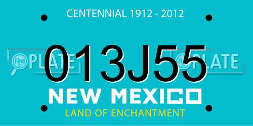 013J55 New Mexico License Plate