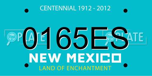 0165ES New Mexico License Plate