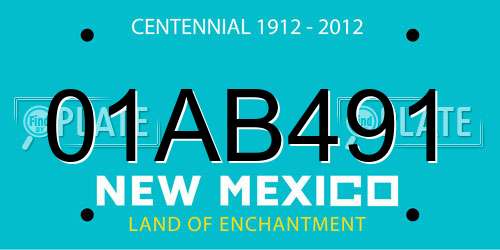 01AB491 New Mexico License Plate