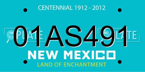 01AS491 New Mexico License Plate