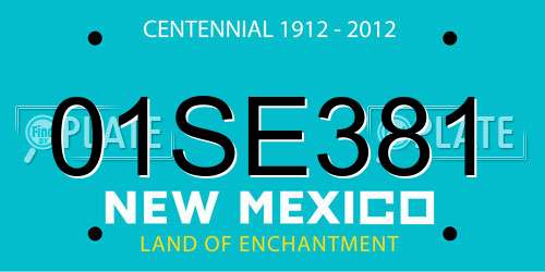 01SE381 New Mexico License Plate