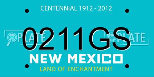 0211GS New Mexico License Plate
