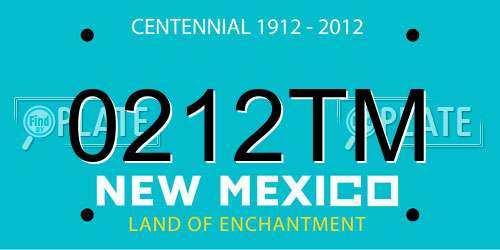 0212TM New Mexico License Plate