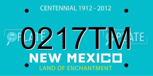 0217TM New Mexico License Plate