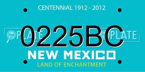 0225BC New Mexico License Plate