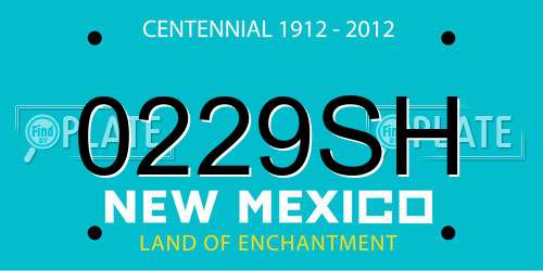 0229SH New Mexico License Plate