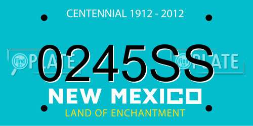 0245SS New Mexico License Plate