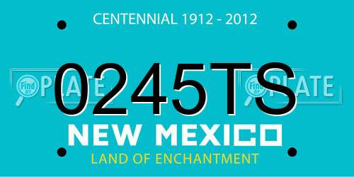 0245TS New Mexico License Plate