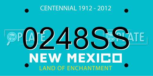 0248SS New Mexico License Plate