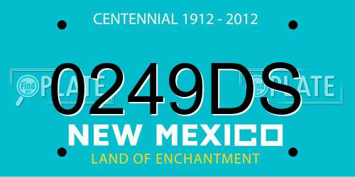 0249DS New Mexico License Plate