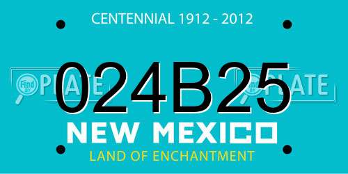 024B25 New Mexico License Plate